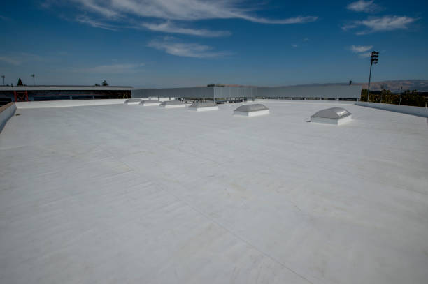 Best Sheet Metal Roofing  in Sandy Oaks, TX