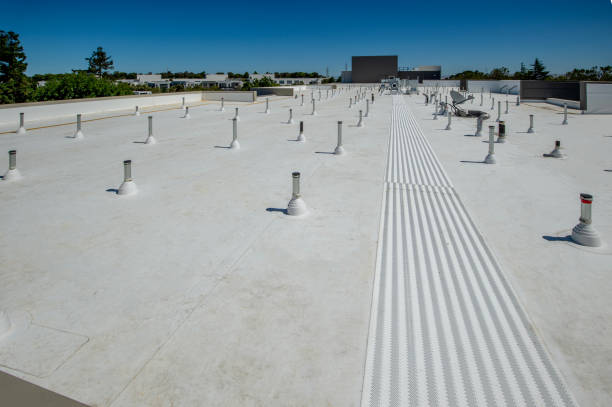 Best Roof Insulation Installation  in Sandy Oaks, TX